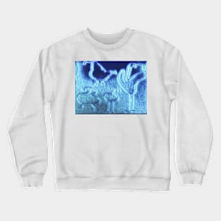 BlueBirds Crewneck Sweatshirt